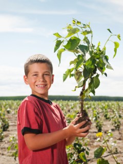 Boy (8-9) plating trees in tree farm.