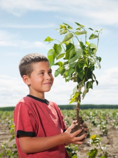 Boy (8-9) planting trees in tree farm.
