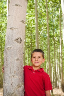 USA, Oregon, Boardman, Boy (8-9) standing between poplar trees in tree farm.