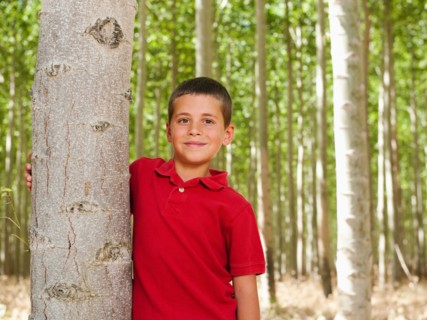 USA, Oregon, Boardman, Boy (8-9) standing between poplar trees in tree farm. Photo: Erik Isakson