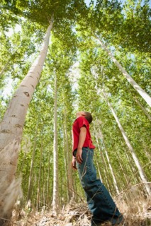 USA, Oregon, Boardman, Boy (8-9) standing between poplar trees in tree farm. Photo: Erik Isakson