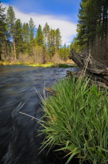 USA, Oregon, Deschutes County, Metolious River. Photo : Gary J Weathers