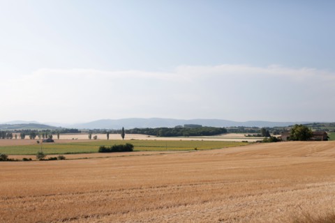 France, Drome, Grignan, Rural landscape. Photo : Jan Scherders