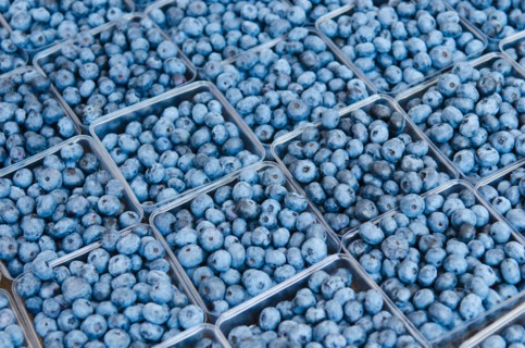 Rows of blueberries in cartons.