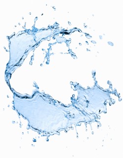 Studio shot of water splash on white background.
