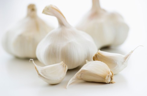 Studio shot of fresh garlic.