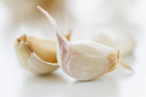 Studio shot of fresh garlic cloves.