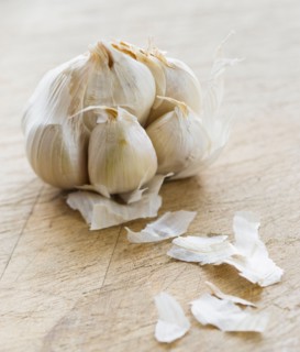 Studio shot of fresh garlic.