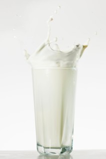 Studio shot of glass of milk with splash.