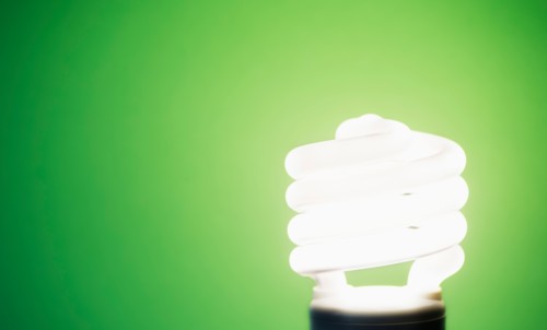 Studio shot of energy efficient lightbulb on green background.