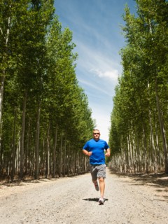 Man running between rows of poplar trees in tree farm.