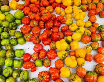 Studio shot of heirloom tomatoes.