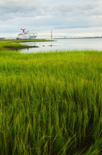 USA, South Carolina, Charleston, Green rushes on riverbank with ferry in background.