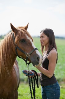 Young woman taking care of horse. Photo : Jan Scherders