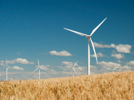 USA, Oregon, Wasco, Wheat field and wind farm in bright sunshine under blue sky.