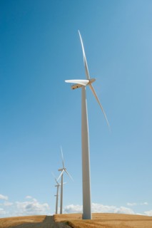 USA, Oregon, Wasco, Wind turbines along dirt road between wheat fields.