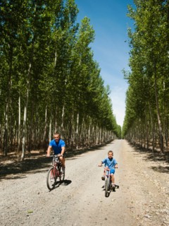 Father with son (8-9) cycling on country road.