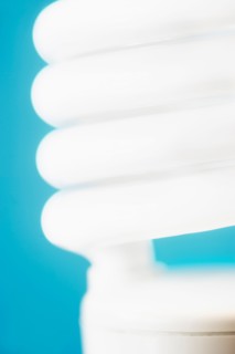 Studio shot of energy efficient lightbulb.