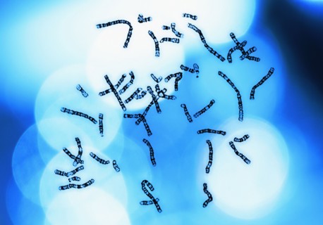 Chromosomes on blue background.