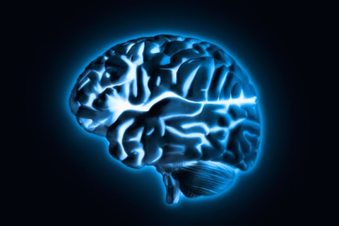 Human brain model with blue glow, studio shot.