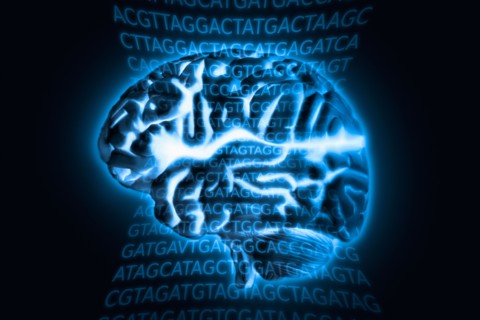 Human brain model with blue glow, studio shot.