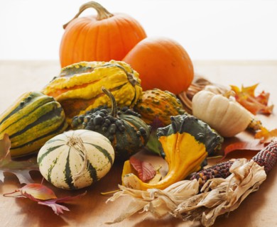 Variety of pumpkins, studio shot.