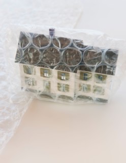 Studio shot of house wrapped in bubble wrap.
