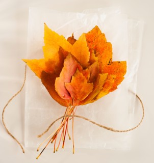 Bunch of autumn leaves on white background.