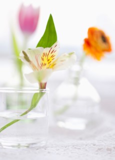 Still life with fresh flowers in vases.