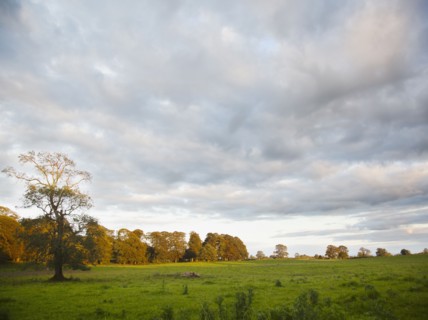 Ireland, County Westmeath, landscape. Photo: Jamie Grill