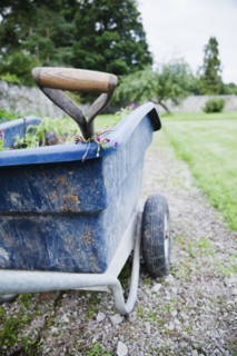 Ireland, County Westmeath, Wheelbarrow in backyard. Photo : Jamie Grill