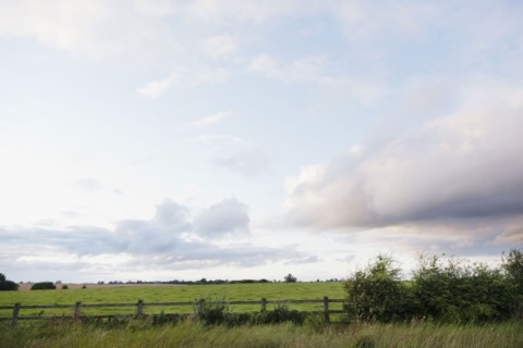 Ireland, County Westmeath, landscape with pasture. Photo : Jamie Grill