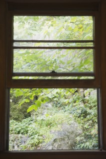 Roaring Brook Lake, Close up of branch behind window. Photo : Jamie Grill
