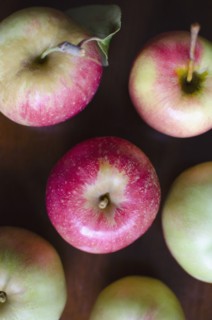 Close up of apples on table. Photo : Jamie Grill