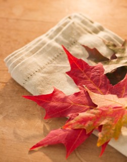 Colorful autumn leaves on napkin. Photo : Daniel Grill