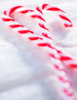 Christmas candy canes. Photo : Daniel Grill