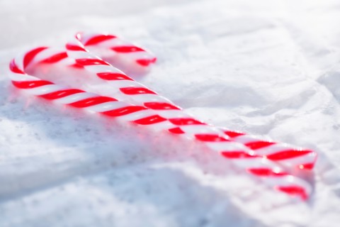 Christmas candy canes. Photo : Daniel Grill