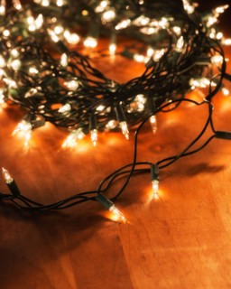 Christmas lights. Photo: Daniel Grill