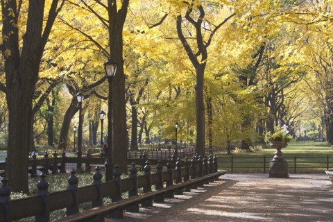 USA, New York City, Autumn scene in Central Park. Photo : fotog