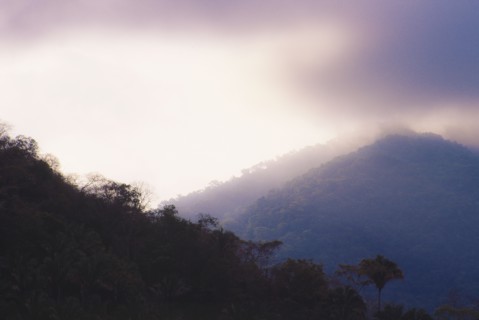 Mexico, Jalisco, Puerto Vallarta, Mountains in fog. Photo : DKAR Images