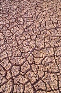 Mexico, Baja California, Dry lake bed. Photo : DKAR Images