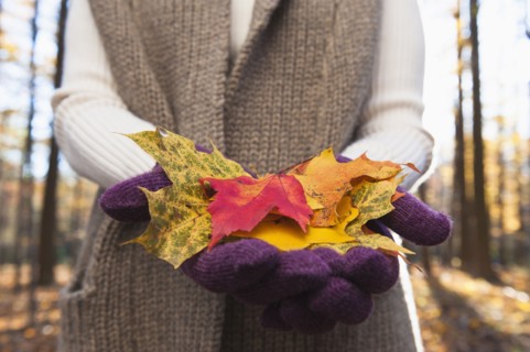USA, New Jersey, Woman holding leaves in Autumn forest, mid section. Photo : Tetra Images