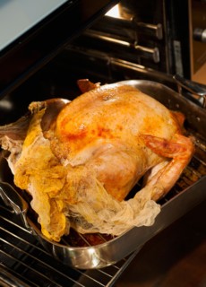Turkey on roasting pan.