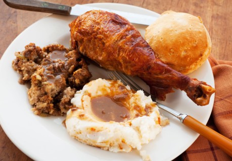 Studio shot of turkey leg with potatoes.