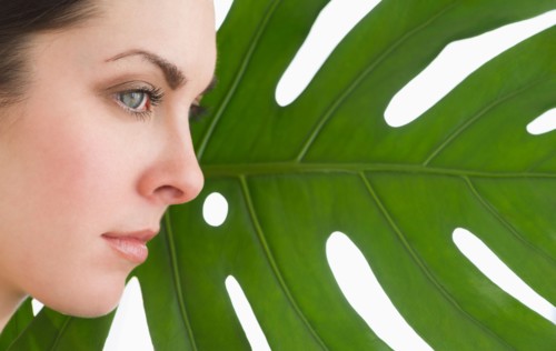 Studio shot of woman and leaf.