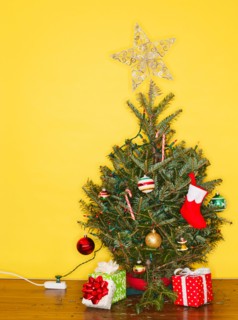 Small Christmas tree against yellow wall, studio shot.
