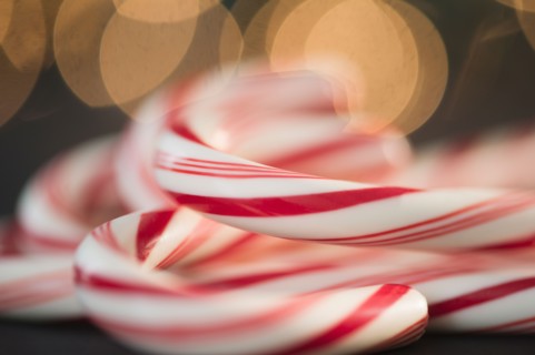 Candy canes. Photo : Jamie Grill