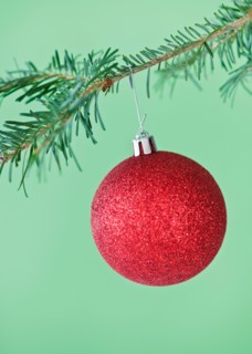 Studio shot of red Christmas ornament hanging on Christmas tree. Photo : Daniel Grill