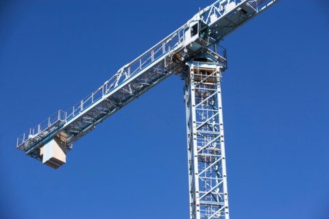 Crane. Photo : fotog