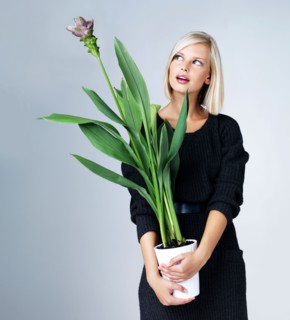 Young woman holding flowering plant, studio shot. Photo : Yuri Arcurs